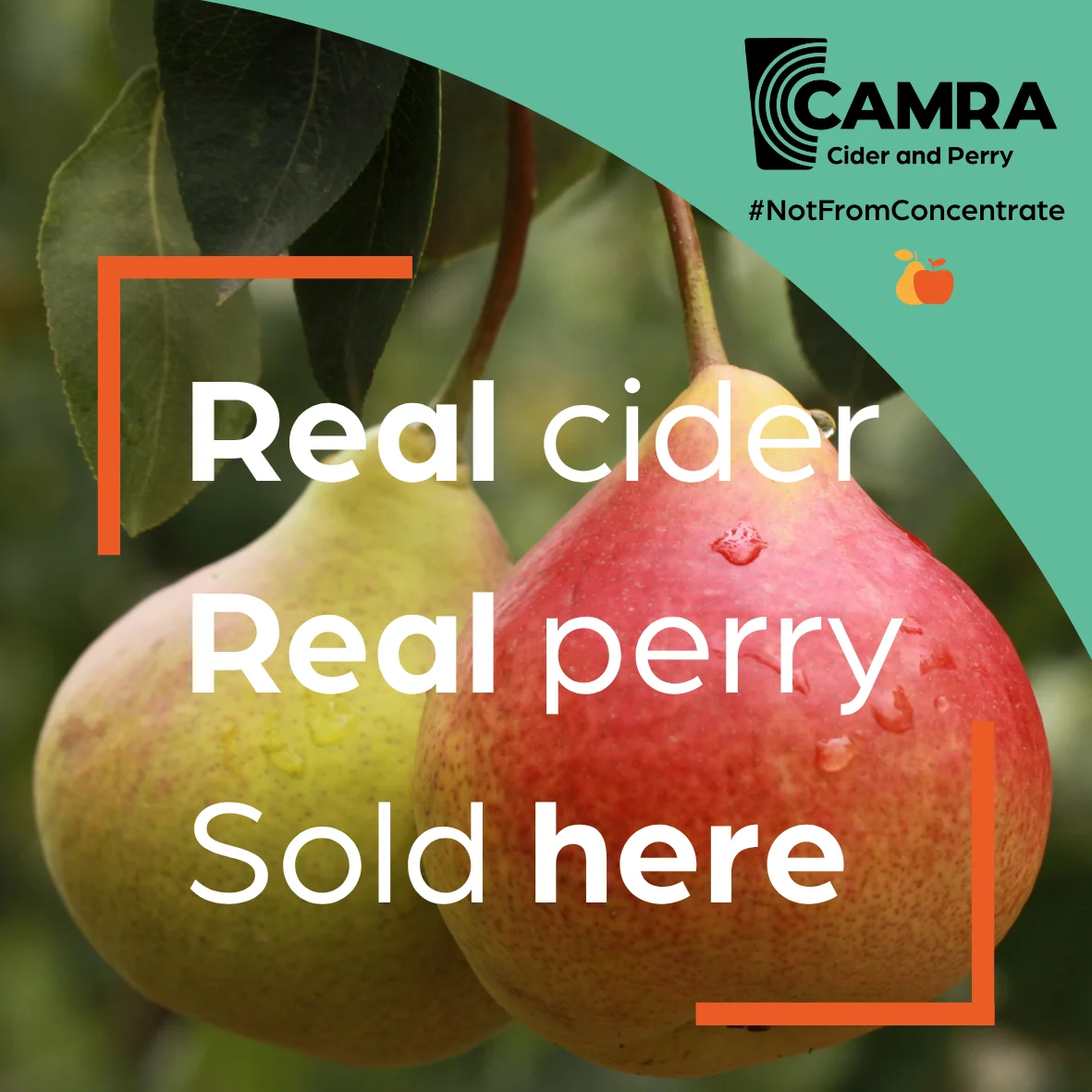 Real Cider and Perry Sold Here window sticker